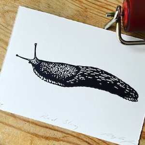 May include: Black and white linocut print of a slug on white paper. The print is titled "Red Slug" and signed by the artist.
