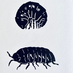 Woodlouse Linocut Print-Insect print-Pill Bug Print-Nature Art-Wall Decor-Wildlife Print-Handmade lino print image 5