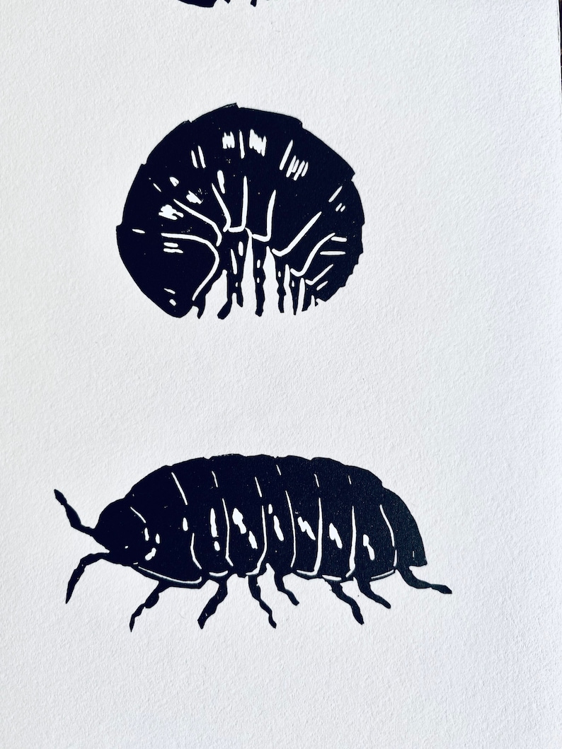 Woodlouse Linocut Print-Insect print-Pill Bug Print-Nature Art-Wall Decor-Wildlife Print-Handmade lino print image 5