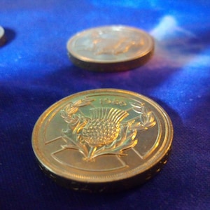 Könnte beinhalten: Eine goldfarbene Münze mit einem Distel-Design und dem Jahr 1983 darauf.