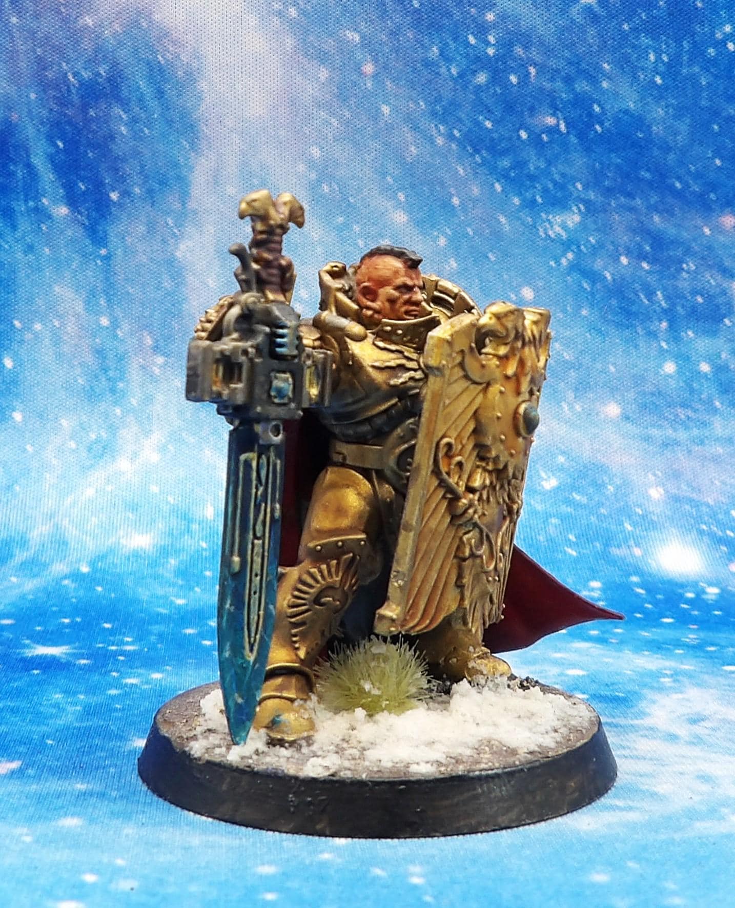 Wh40k Adeptus Custodes -custodian Guard- Shield Captain .painted