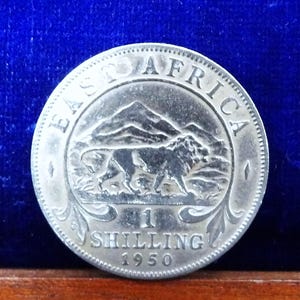 Puede incluir: Una moneda de plata de 1 chelín de África Oriental de 1950. La moneda muestra un león de perfil con una cadena montañosa de fondo. El texto "EAST AFRICA" aparece en la parte superior, con "1 SHILLING" y "1950" en la parte inferior.