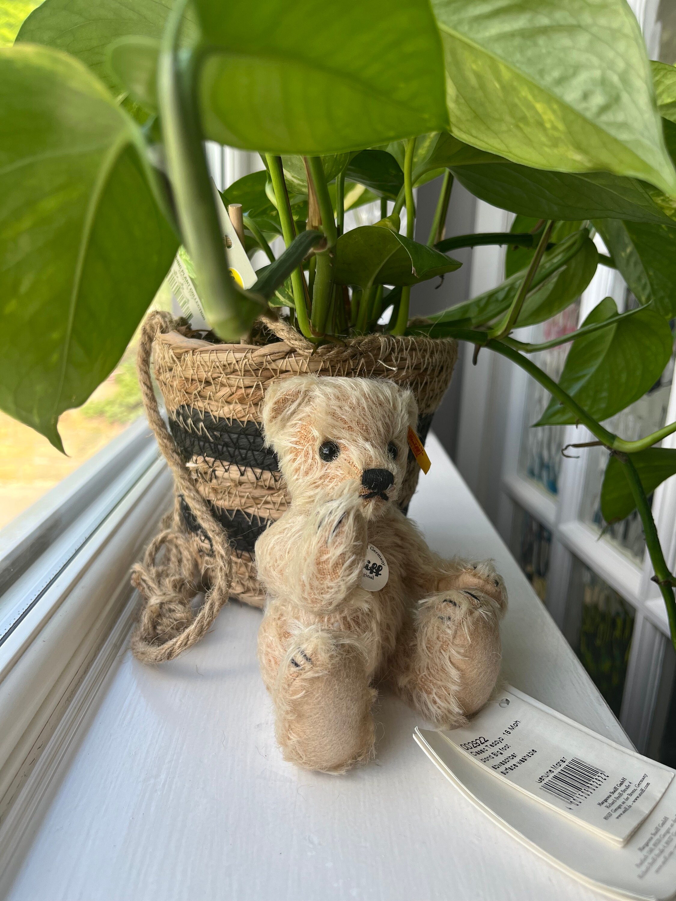 The Steiff Classic Bear Big Foot , EAN 002922 - Etsy