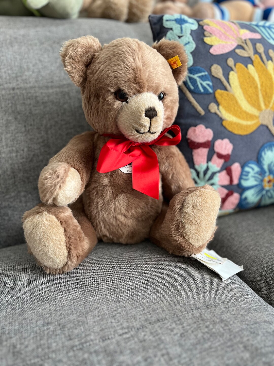 Steiff Teddy Bear Lot - Steiff Petsy Bicolor 1927 Teddy Bear