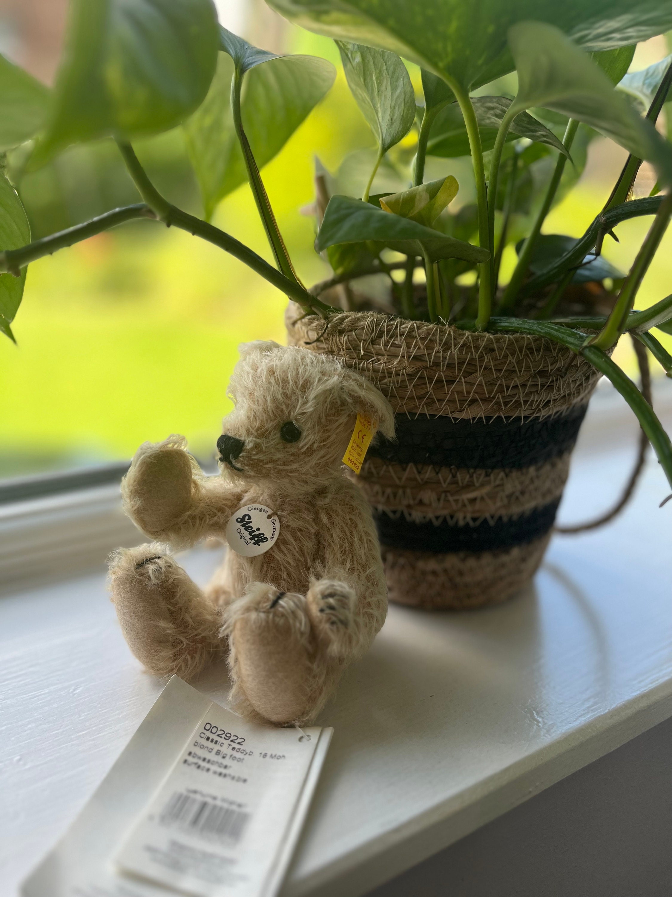 The Steiff Classic Bear Big Foot , EAN 002922 - Etsy