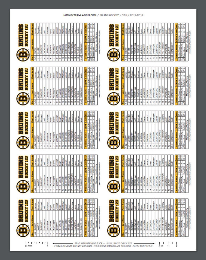 hockey-roster-game-score-sheet-2x4-labels-stickers-digital-pdf