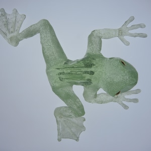 Frog sculpture - limited to 100 - signed