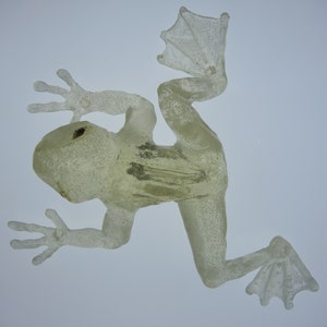 Frosch-Skulptur - limitiert auf 100 - signiert