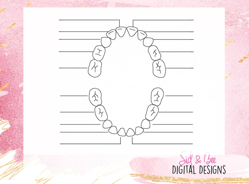 Tooth Chart Tooth Fairy Chart Teeth Tooth Embroidery Etsy Australia