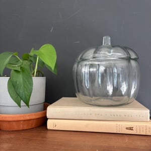 Op de afbeelding: Een heldere glazen pompoenvormige pot met een deksel, bovenop twee boeken. De pot heeft verticale ribbels en een kleine steel op het deksel. Een potplant met groene bladeren staat links van de pot.