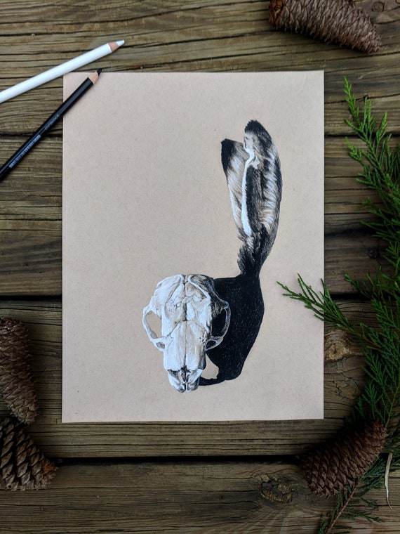 Featured image of post Rabbit Skull Drawing 10 08 guuhdrawings recommended for you