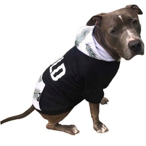 BOLD Hoodie for medium & large dogs