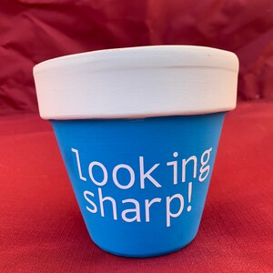 May include: A blue ceramic planter with a white rim and the words "Looking sharp!" written in white.