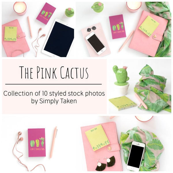 Pink and Cactus! Styled Stock Images, 12 Fun Stock Photo Bundle, Feminine Cactus Flat Lay Photos