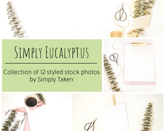 Eucalyptus Styled Stock Photo Bundle, 12 Stock Photos of a Greenery Styled Desktop, Flower Flat Lay, Eucalyptus Mockup, Natural Branding