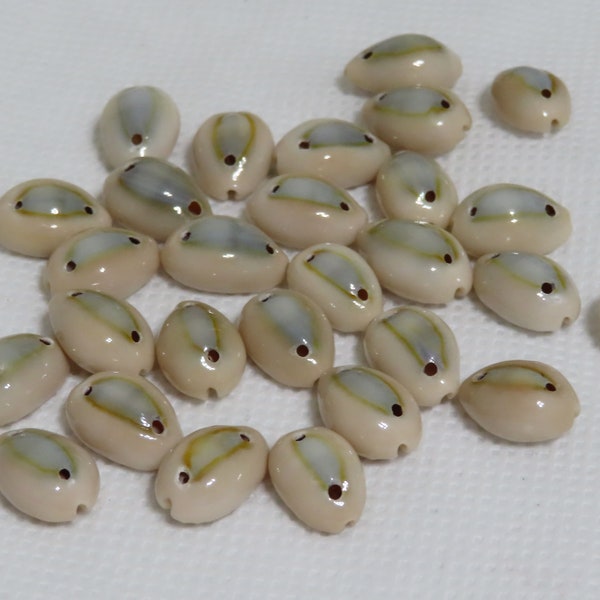 Zwei Löcher Knopfform Kauri Perlen Kauri Muscheln, 20 oben und unten gebohrte Muscheln, 15 - 16 mm Muschelperlen, Natürliche Perlen