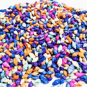 150 Dyed nassa craft seashells, Beach decor, Colorful  craft shells,  Multi color shell crafts
