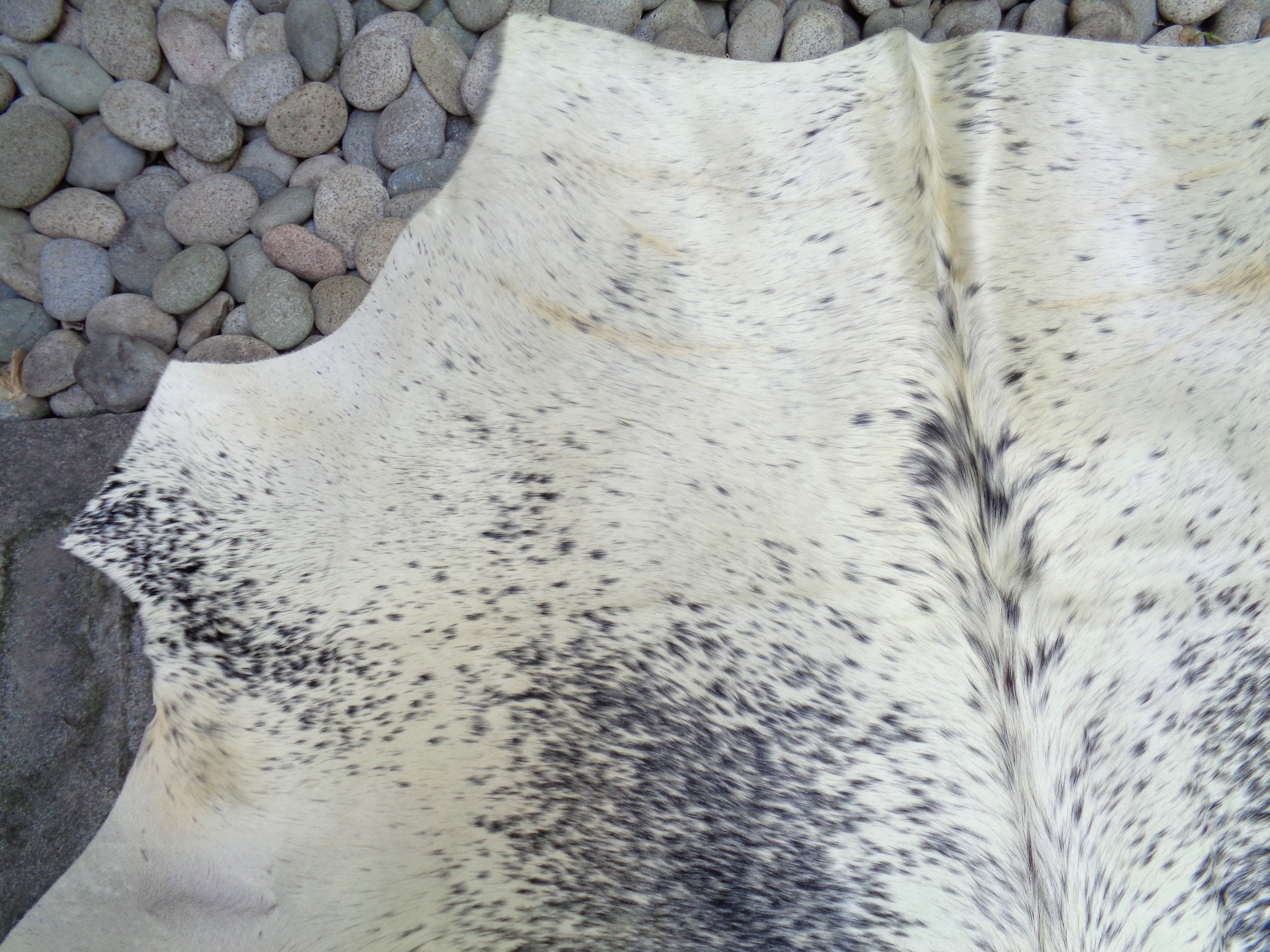 AA Grade Nguni Cattle Hide/Floor Rug African Cow Hide Etsy