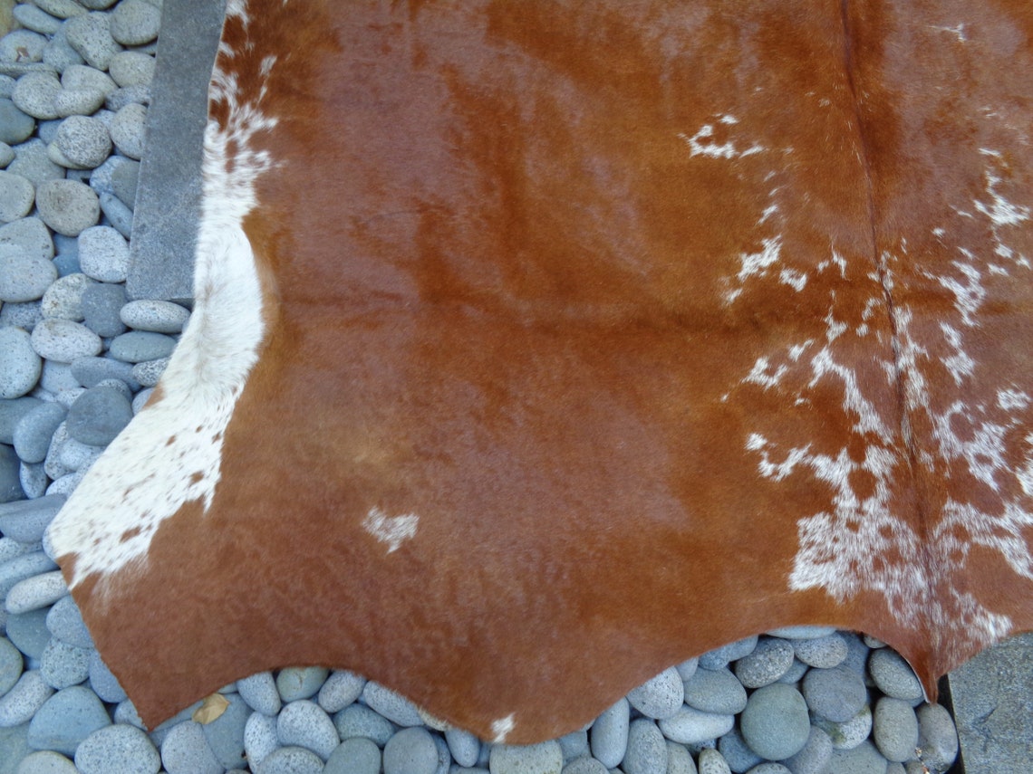 AA Grade Nguni Cattle Hide/Floor Rug African Cow Hide Etsy