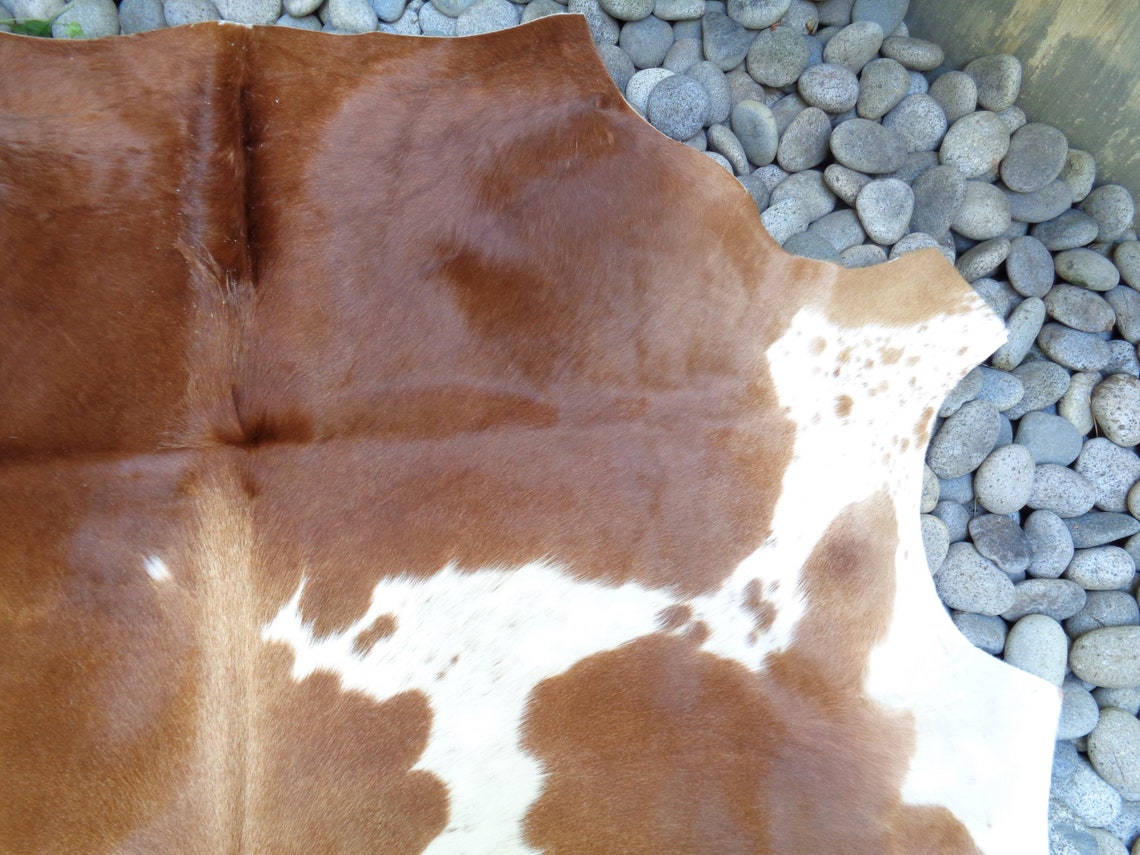 AA Grade Nguni Cattle Hide/floor Rug african Cow Hide Etsy