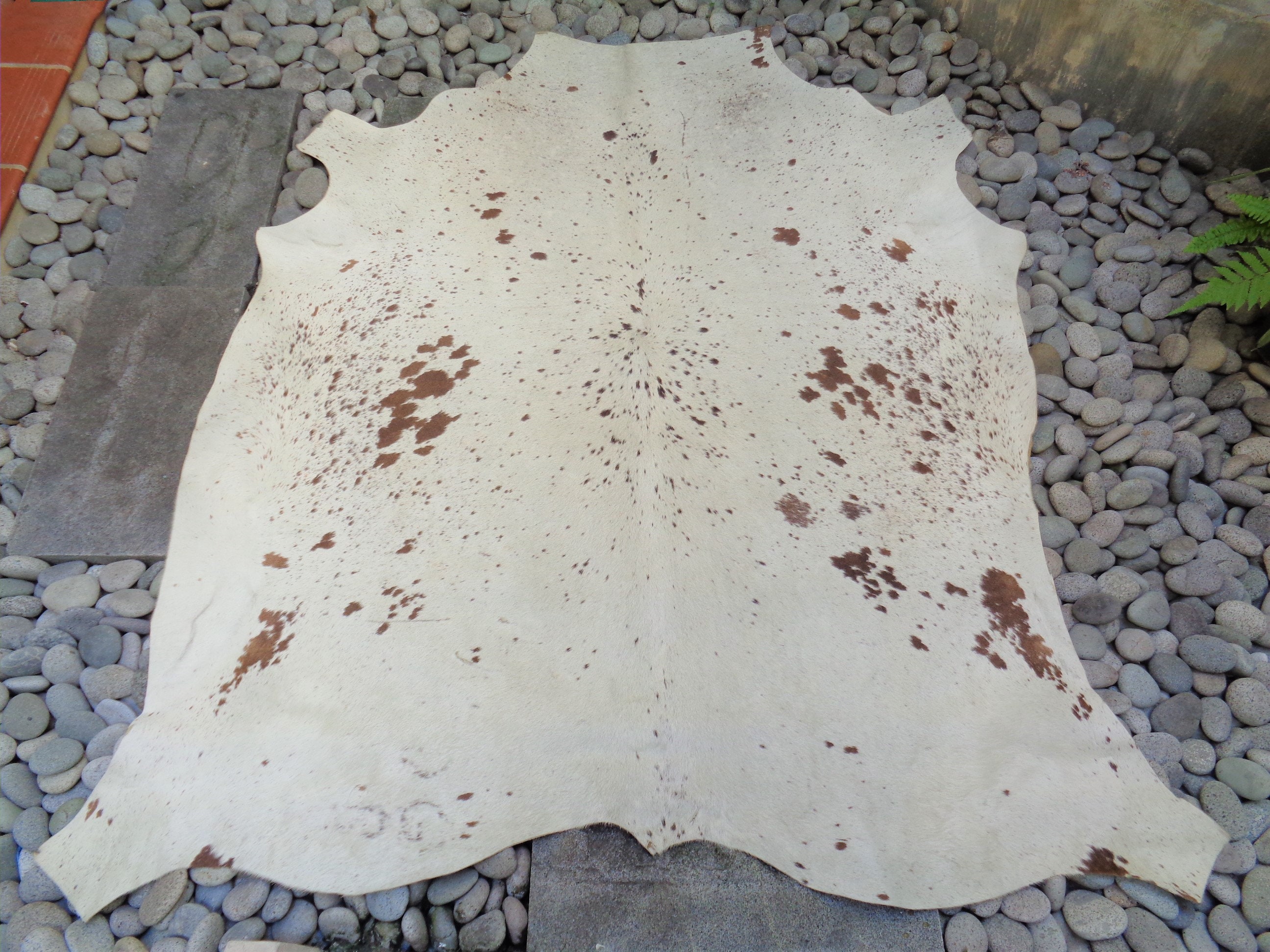 A Grade Nguni Cattle Hide/Floor Rug African Cow Hide Etsy