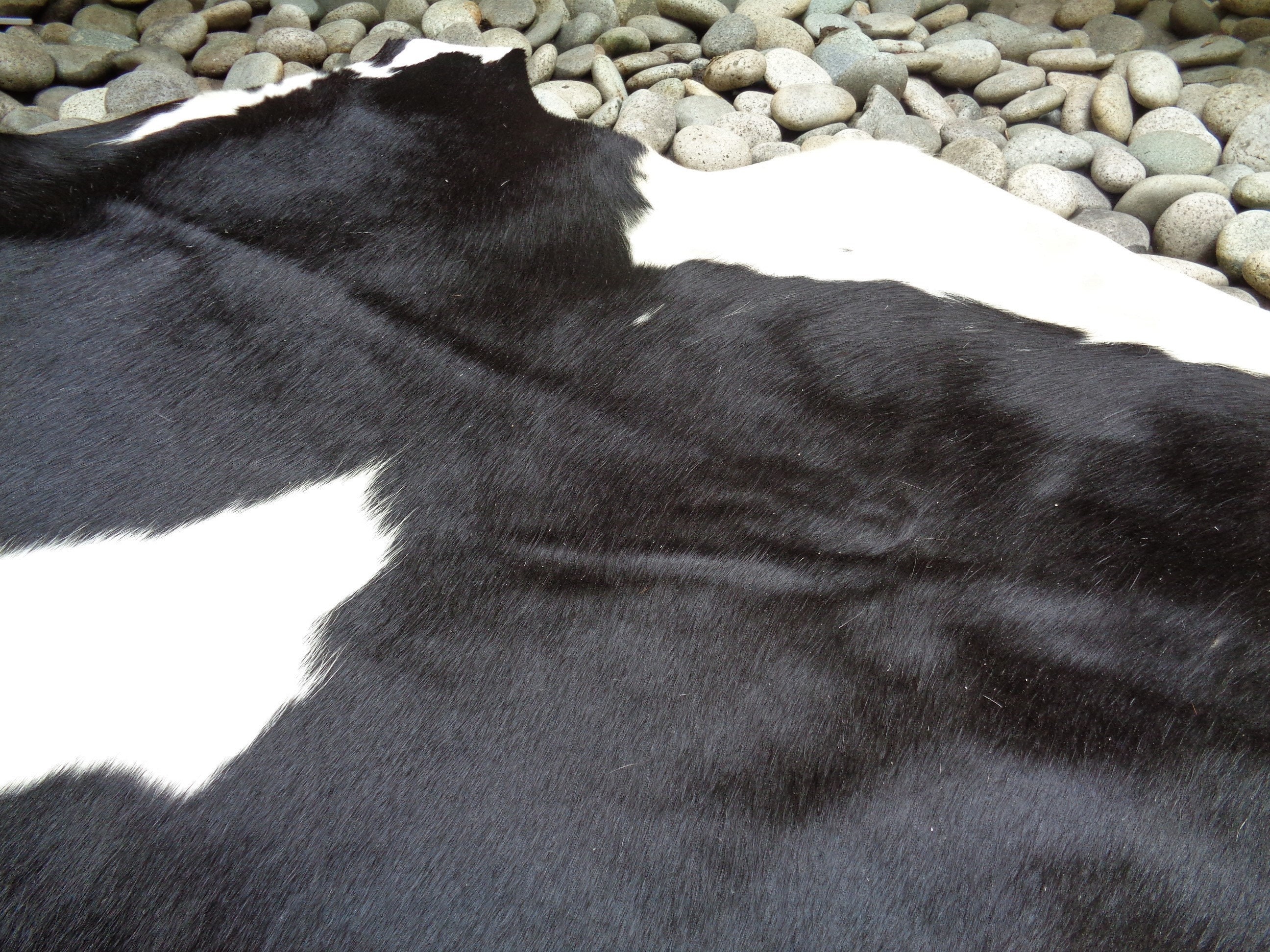 AA Grade Nguni Cattle Hide/Floor Rug African Cow Hide Etsy