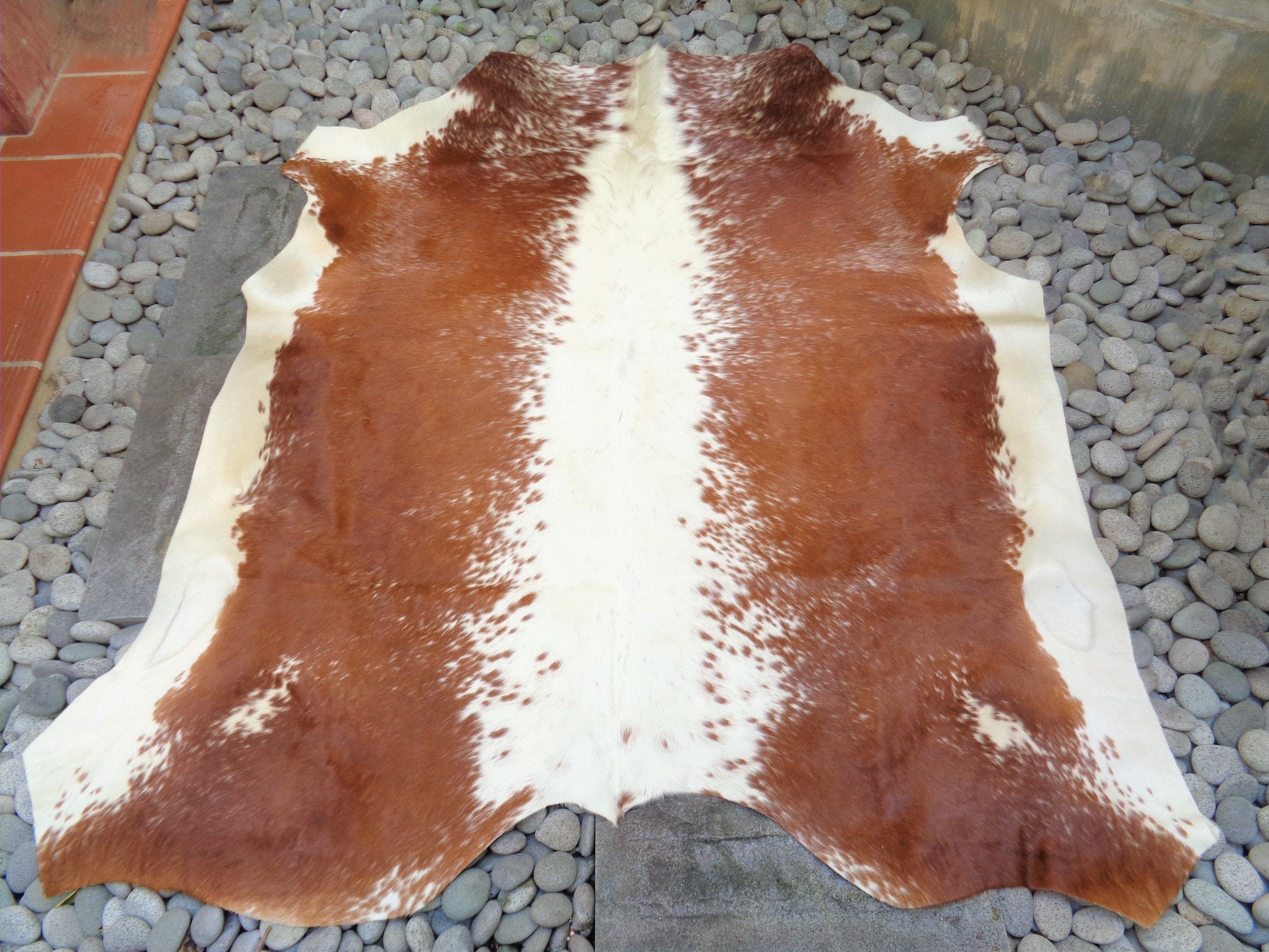 AA Grade Nguni Cattle Hide/Floor Rug African Cow Hide Etsy