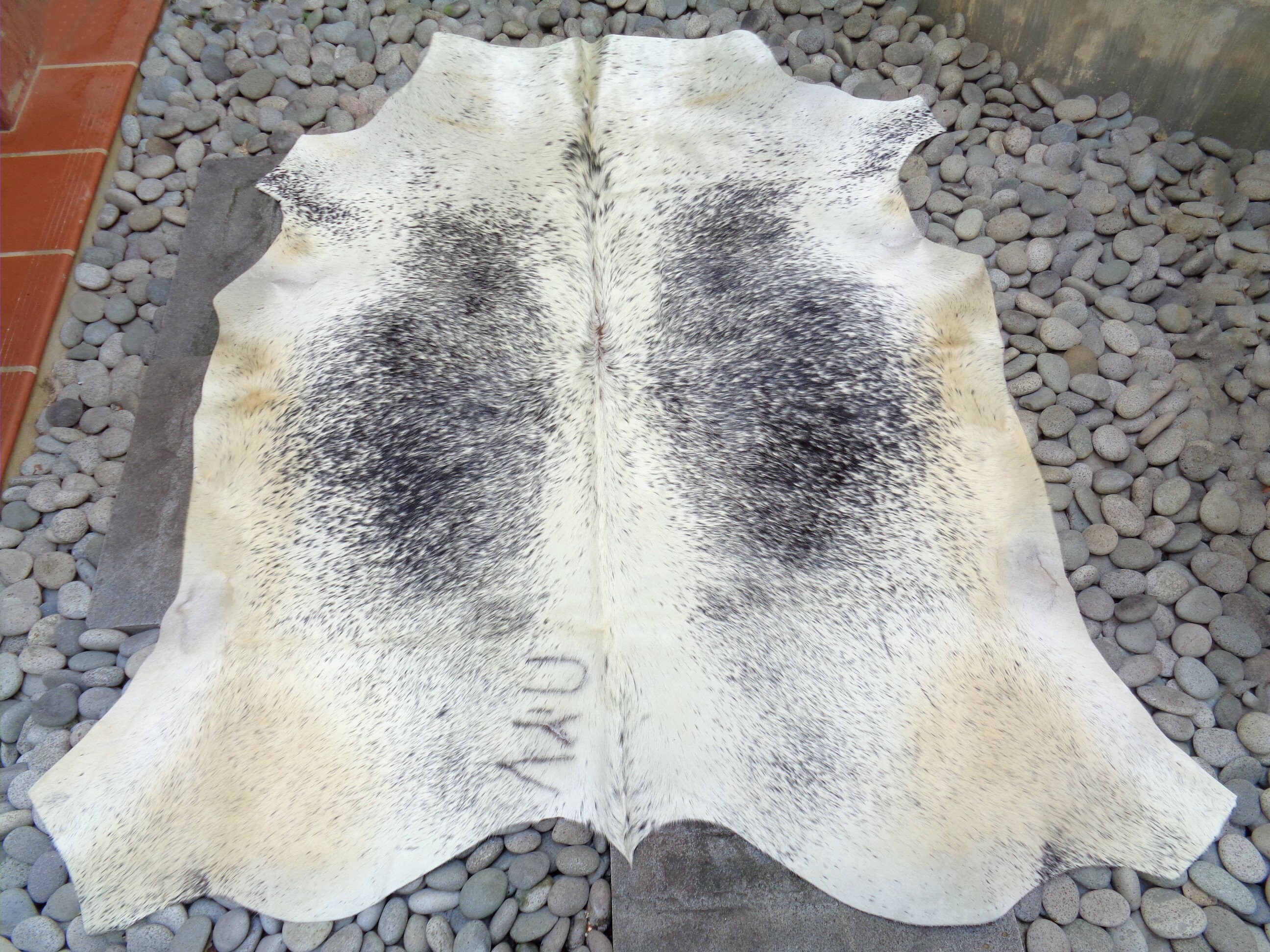 AA Grade Nguni Cattle Hide/Floor Rug African Cow Hide Etsy