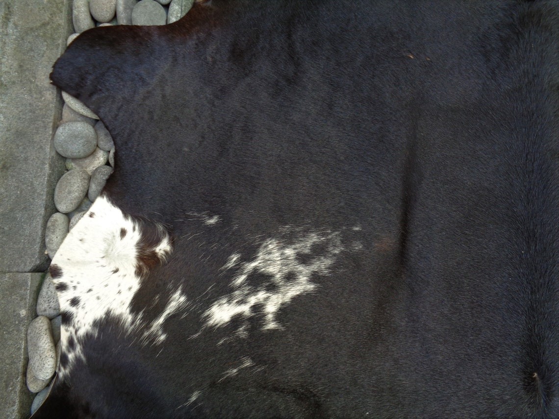 A Grade Nguni Cattle Hide/Floor Rug African Cow Hide Etsy