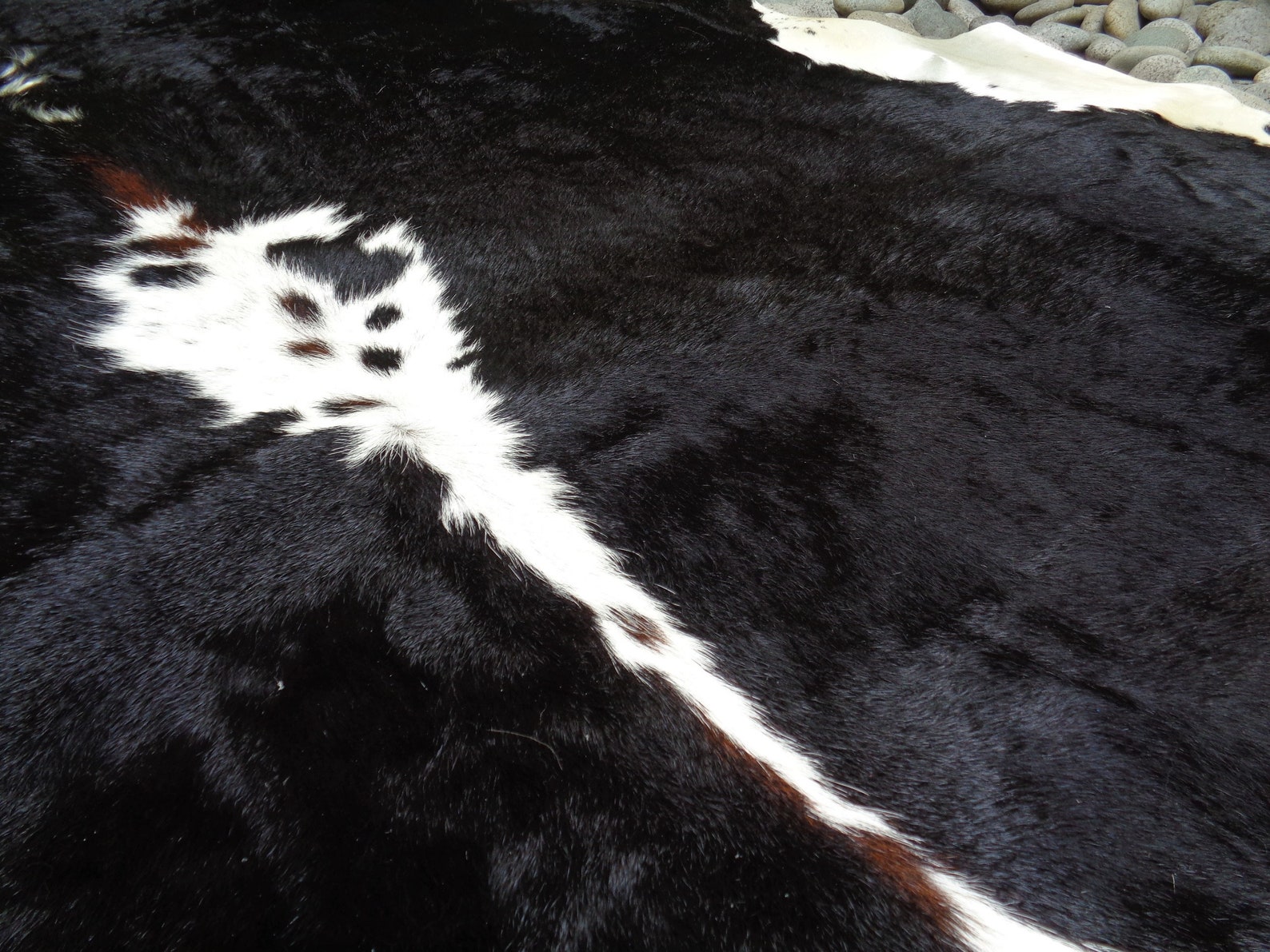 AA Grade Nguni Cattle Hide/floor Rug african Cow Hide Etsy