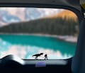 Small Sasquatch Walking Trex Vinyl Decal Hidden Hide Easter Egg Tiny Funny Bigfoot Car Sticker Decals Truck SUV Windshield