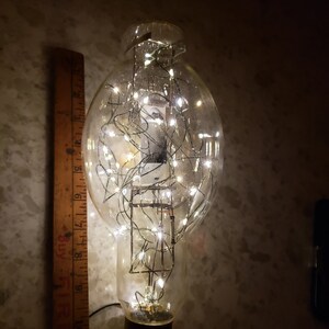 May include: A large glass light bulb with a string of white LED lights inside. The bulb is clear and has a metal base.