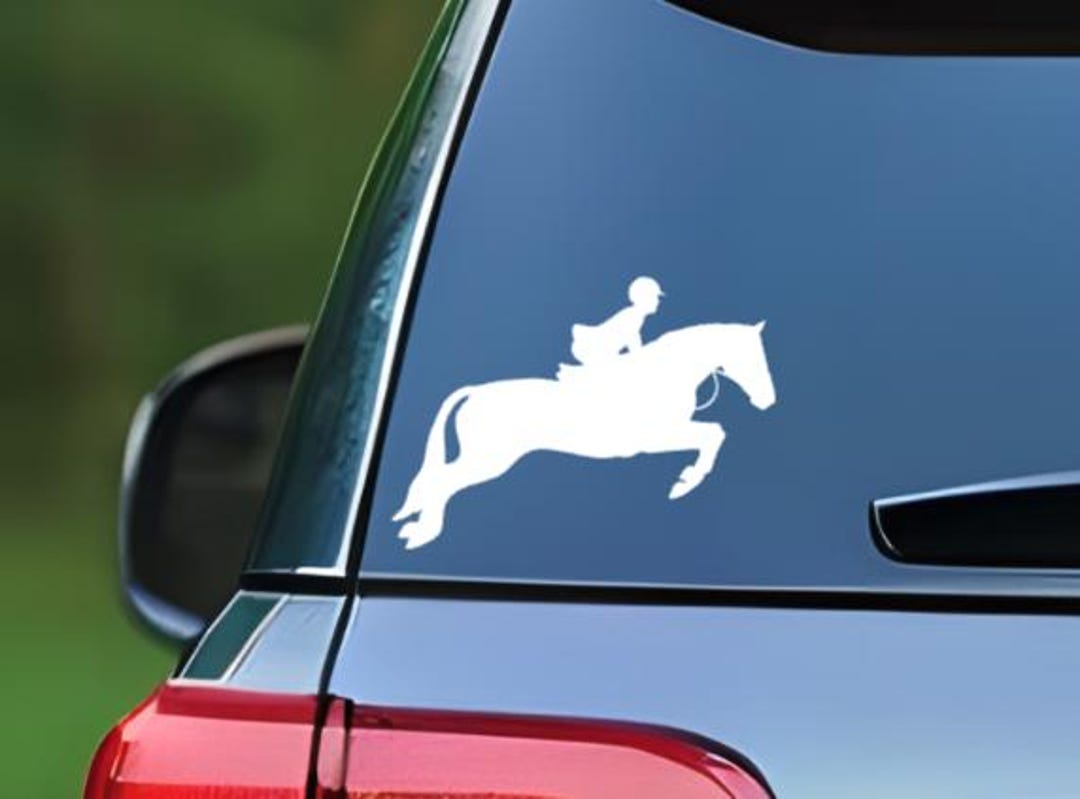 Tenda Oscurante Per Finestre Silhouette Di Cavallo Cavaliere Al Galoppo - Foto 10