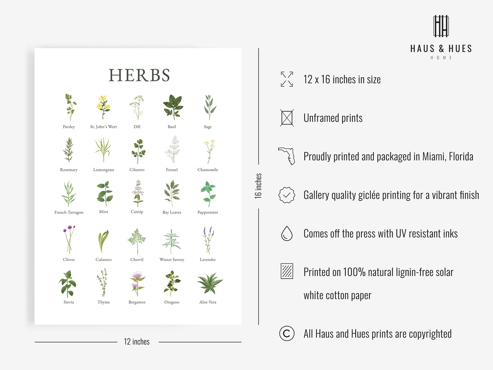 Haus and Hues Herb Pictures for Kitchen Wall Art Botanical Etsy