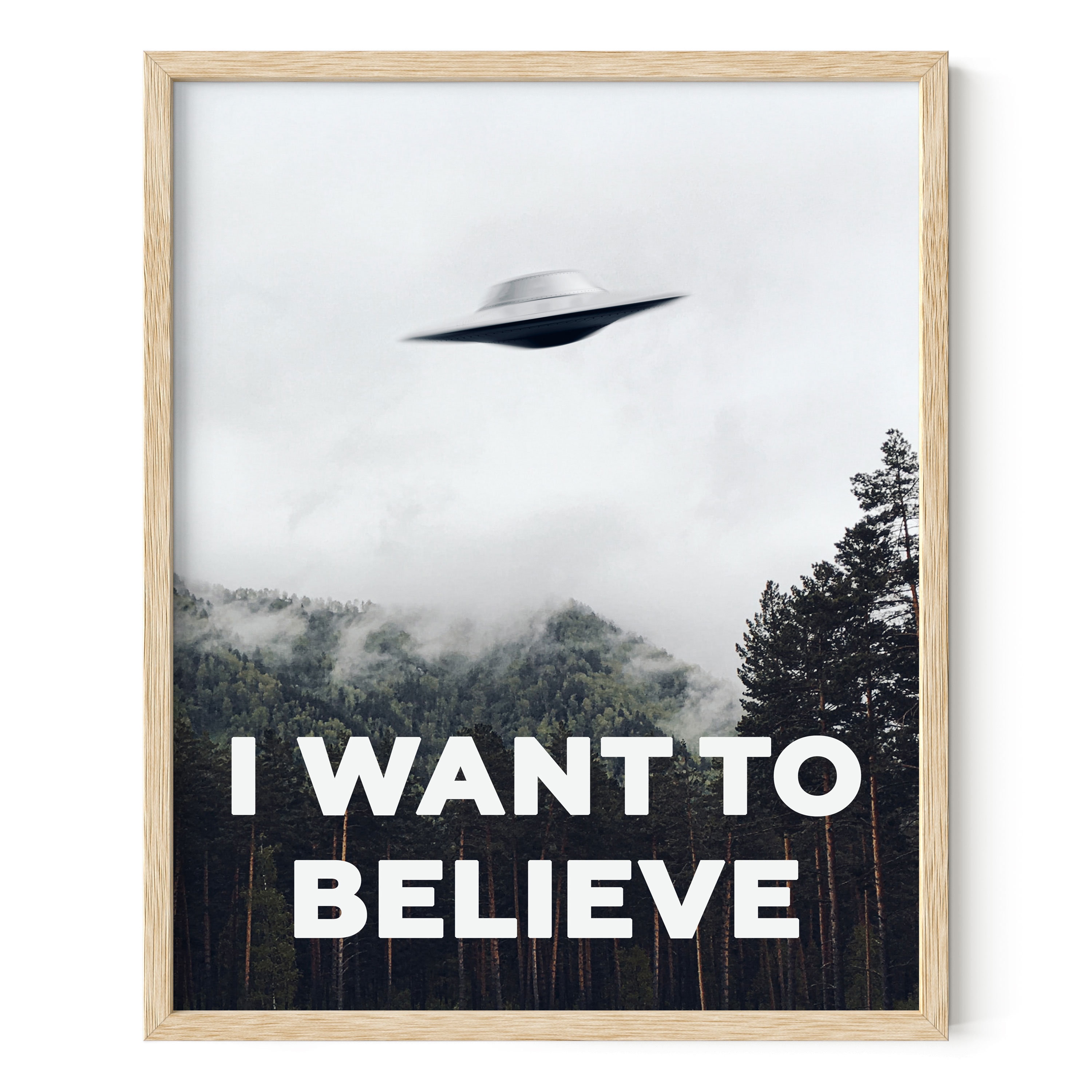 X Files I Want To Believe