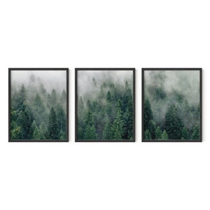 May include: A set of three framed prints featuring a misty forest scene. The prints are in black frames and show a dense forest with tall trees and fog.