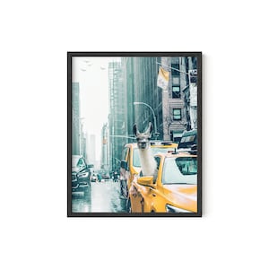 Haus and Hues Art Print - Llama Dorm Decor, Llama Taxi Wall Art, Cute Wall Decor, Funny & Cool Posters