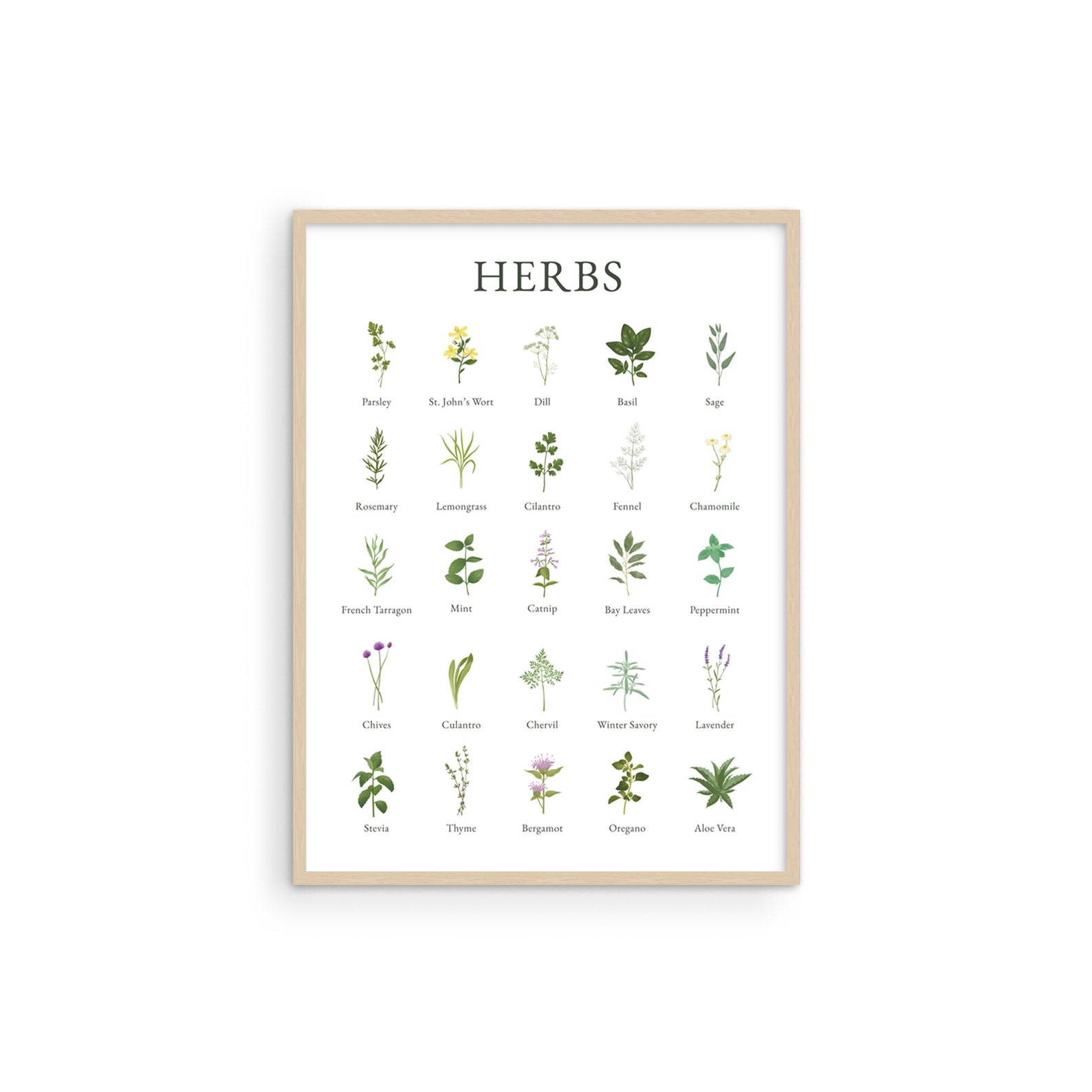 Haus and Hues Herb Pictures for Kitchen Wall Art Botanical Etsy
