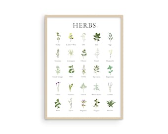 Botanical Herb Kitchen Art Print: Cottagecore Decor
