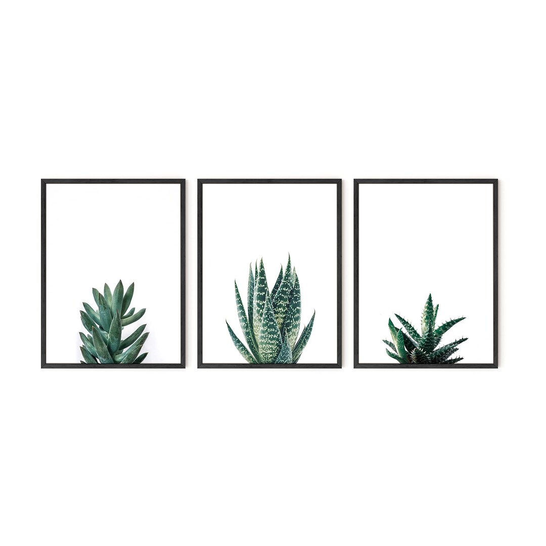 Succulent Plant Art Prints: Minimalist Botanical Wall Decor Set - Etsy