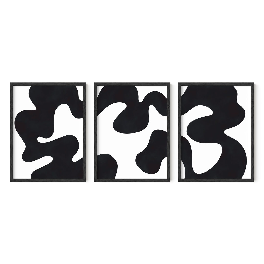 Haus and Hues Black and White Wall Art Set of 3 Abstract Art Large Black and White Wall Art for