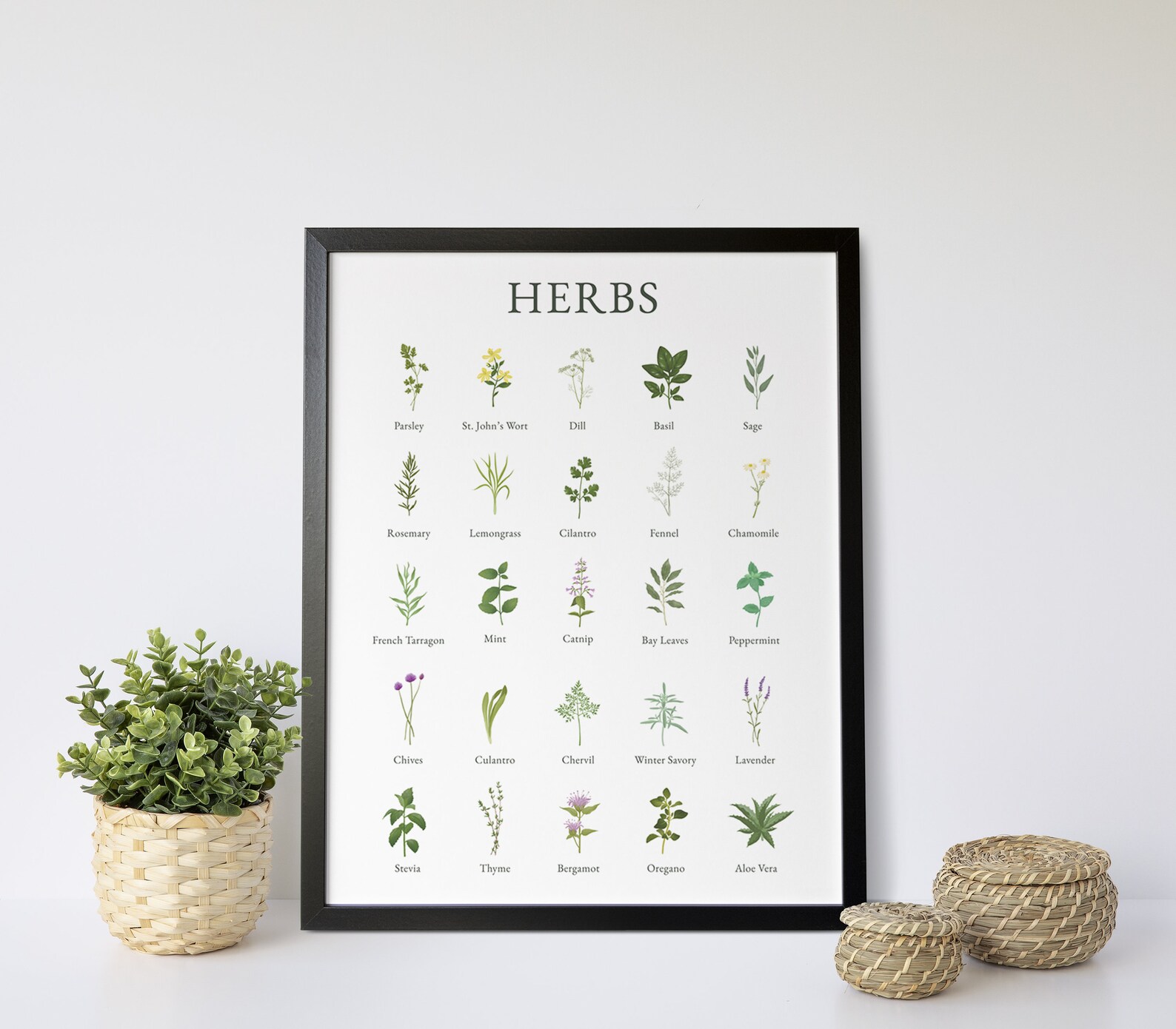 Haus and Hues Herb Pictures for Kitchen Wall Art Botanical Etsy