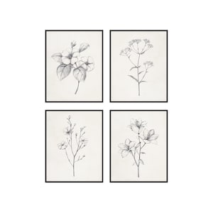 Haus and Hues Grey Floral Wall Art - Set of 4 Plant Posters for Wall Vintage, Black and White Flower Pictures for Room Aesthetic, Rustic Art