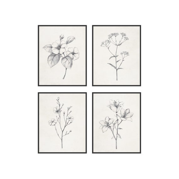 HAUS AND HUES - Juego De 4 Flores Para Pared, Pinturas De Flores Enmarcadas, Fotos Florales, Carteles Botánicos Enmarcables (11 X 14 Pulgadas, Marco Negro