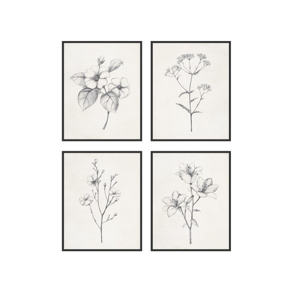 Haus and Hues Grey Floral Wall Art - Set of 4 Plant Posters for Wall Vintage, Black and White Flower Pictures for Room Aesthetic, Rustic Art