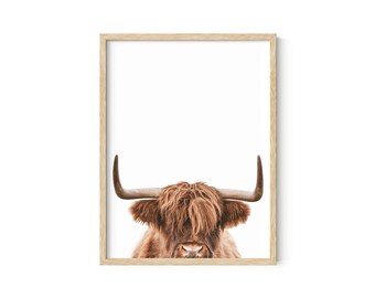 Highland Cow Print: Scottish Bull Wall Art