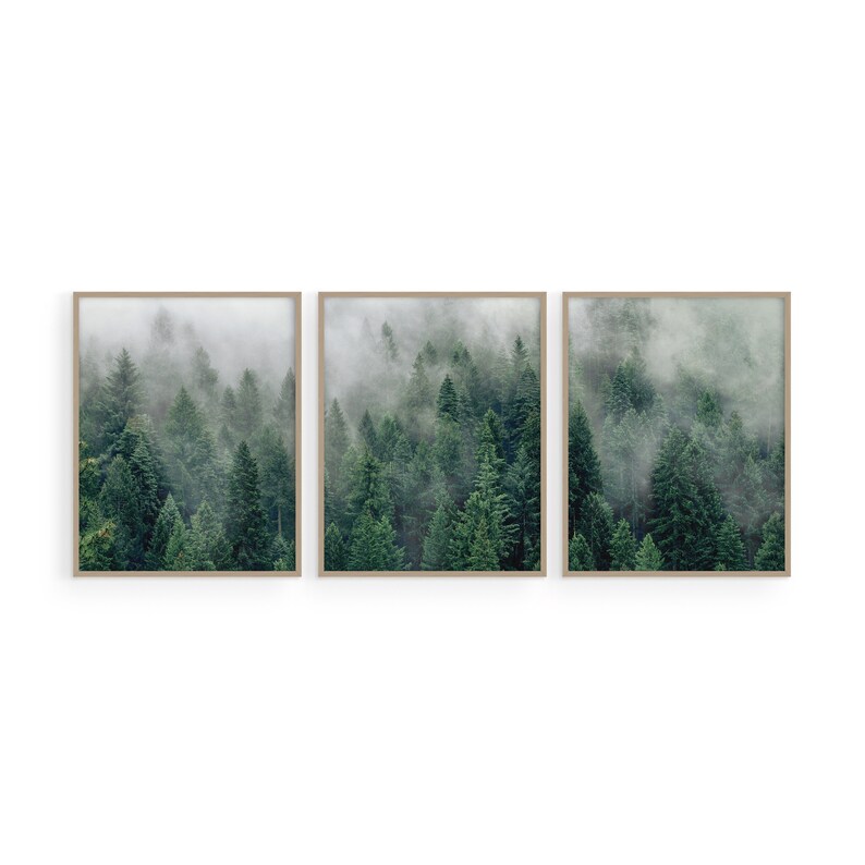 May include: A set of three framed prints featuring a misty forest scene with tall evergreen trees. The prints are in a light wood frame and have a muted color palette.