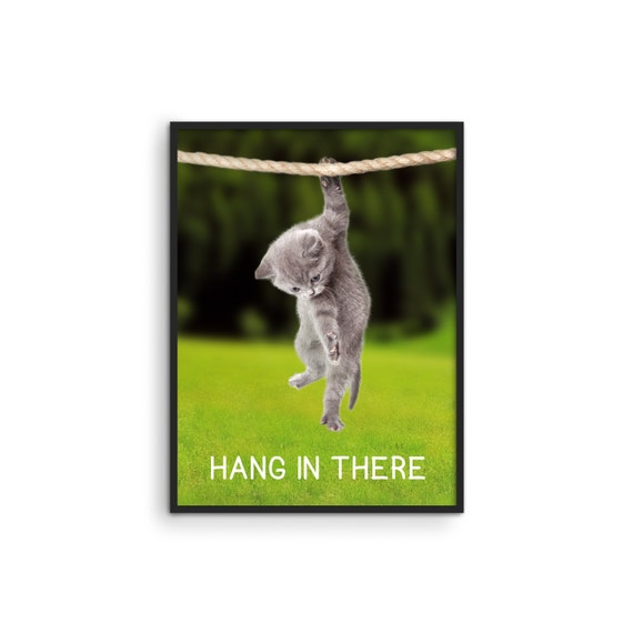 hang in there cute