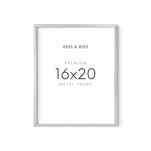Haus and Hues 16x20 Silver Picture Frames - Set of 1 Metal Poster Display Frame, 16x20 Picture Frames for Wall (Silver Aluminum Frame)