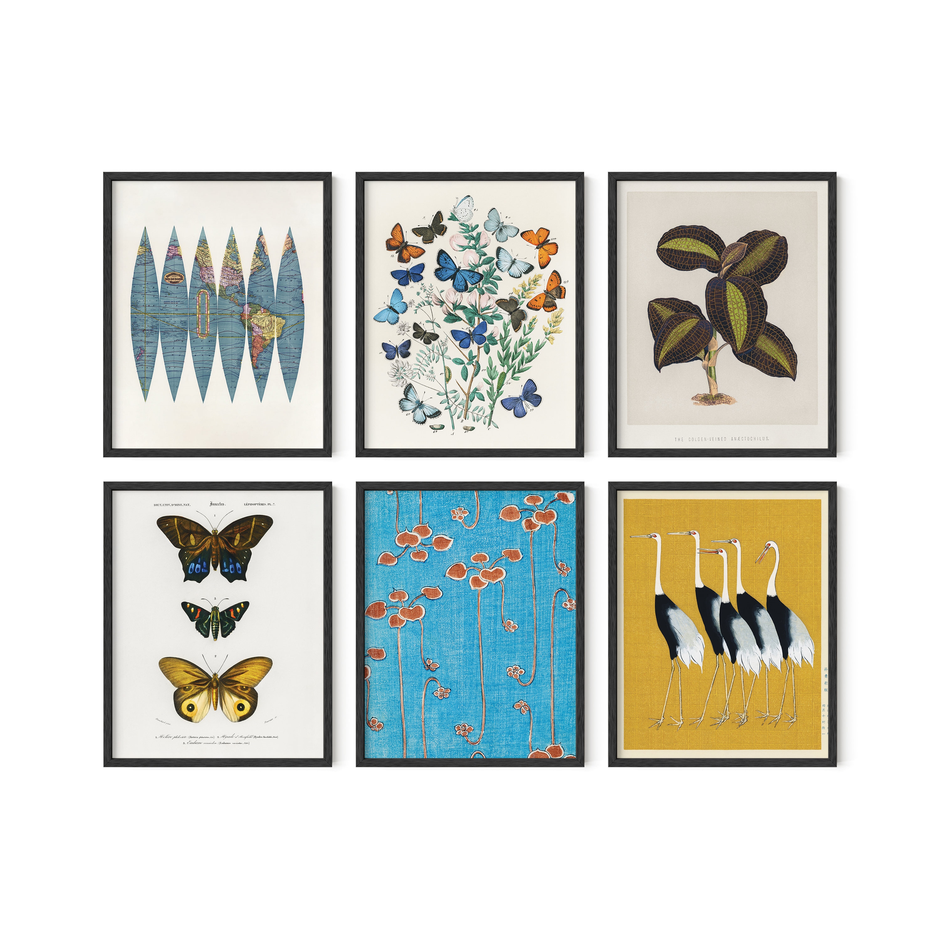 Vintage Butterfly Art Print Set: Eclectic Cottagecore Wall Decor (8x10 ...